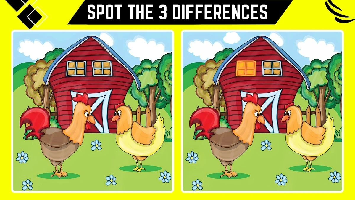 Spot the 3 Differences Picture Puzzle Game: Only Eagle Eyes Can Spot the 3 Differences in this Image in 9 Secs​