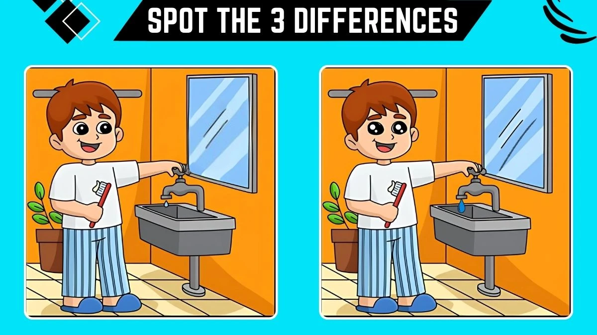 Spot the 3 Differences Picture Puzzle Game: Only People with 20/20 Vision Can Spot the 3 differences in this Image in 9 Secs