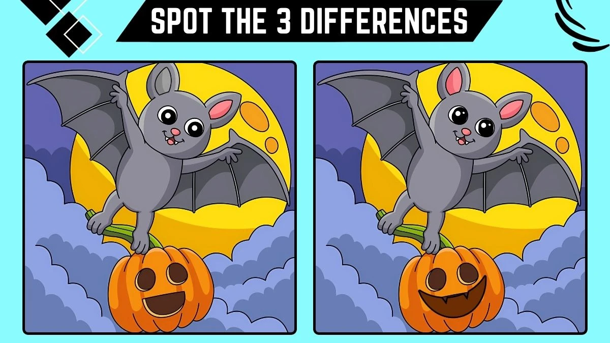 Spot the Difference Game: Only Genius with Extra Sharp Eyes Can Spot the 3 differences in this Bat Image in 9 Secs