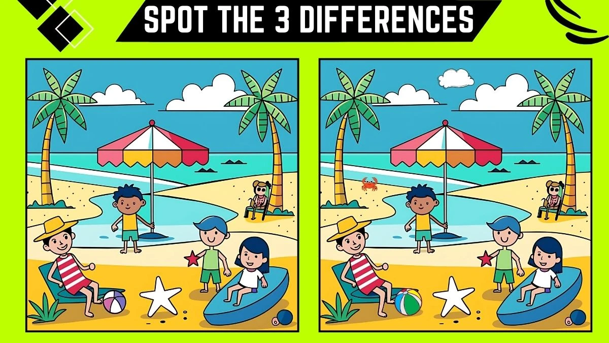 Spot the Difference Picture Puzzle Game: Only Hawk Eyes Can Spot the 3 Differences in this Beach Image in 8 Secs