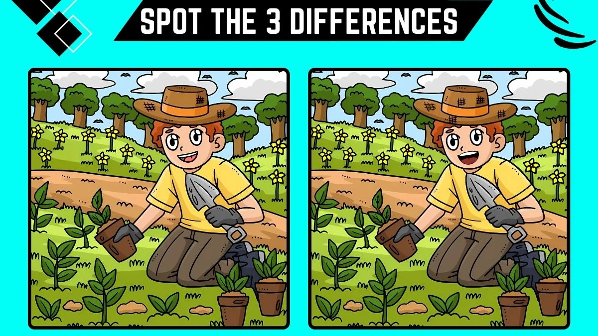 Spot the Difference Picture Puzzle Game: Only Hawk Eyes Can Spot the 3 Differences in this Image in 12 Secs