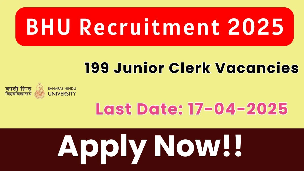 BHU Junior Clerk Recruitment 2025 Notification Out Apply Online for 199 Junior Clerk Posts