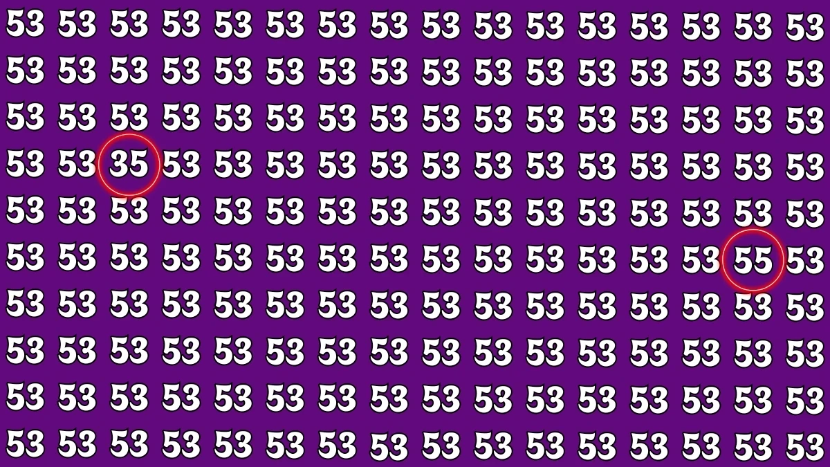 Optical Illusion: Within 5 Seconds Spot The Number 35 and 55 among 53s Optical Illusion: Within 5 Seconds Spot The Number 35 and 55 among 53s