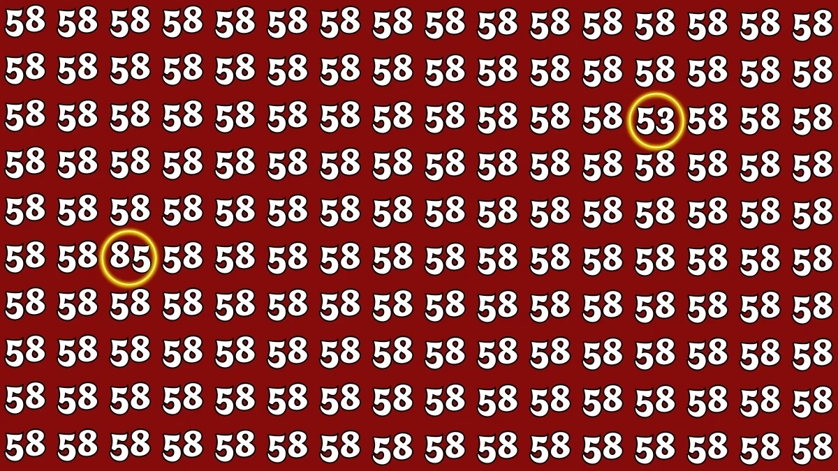 Optical Illusion: Within 5 Seconds Spot The Number 53 and 85 among 58s