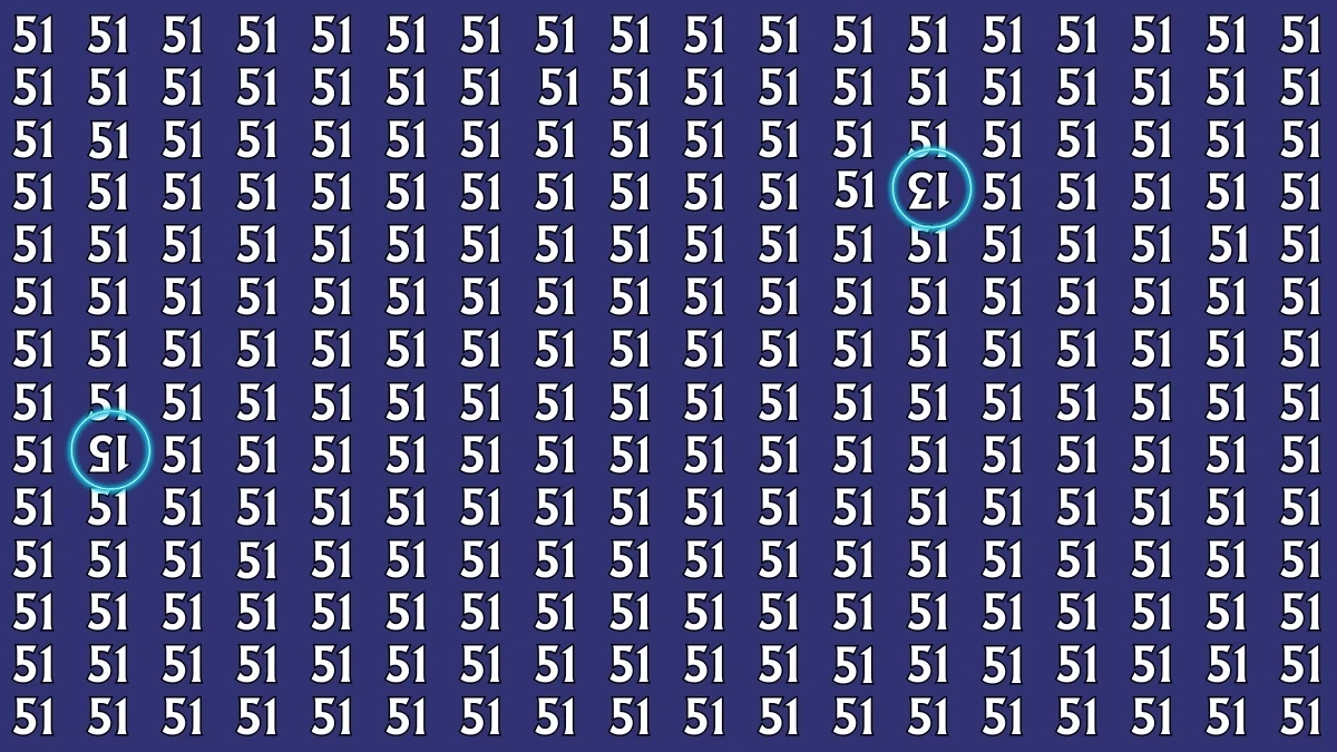 Optical Illusion: Within 6 Seconds Spot The Inverted 13 and 15 among 51s