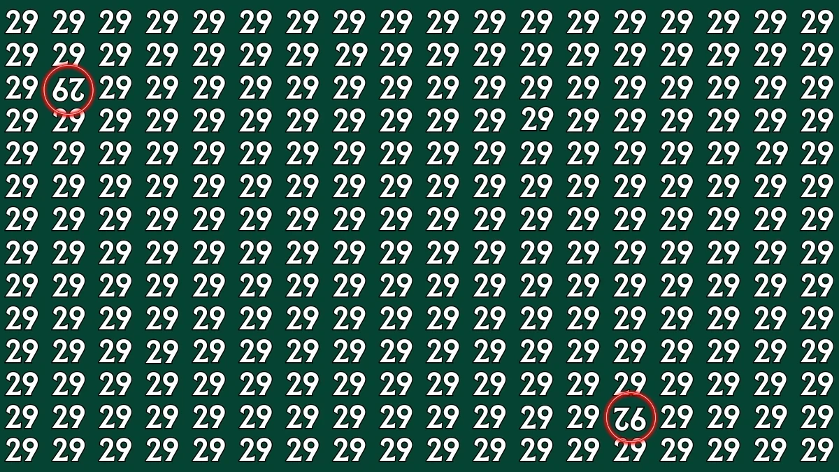 Optical Illusion: Within 6 Seconds Spot The Inverted 29 and 92 among 29s Optical Illusion: Within 6 Seconds Spot The Inverted 29 and 92 among 29s