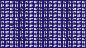 Optical Illusion: Within 6 Seconds Spot The Inverted 86 and 89 among 89s