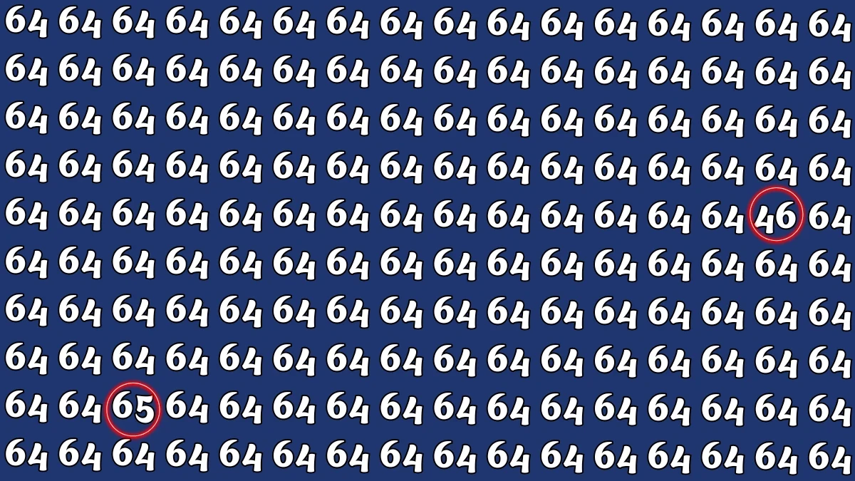 Optical Illusion: Within 6 Seconds Spot The Number 65 and 46 among 64 Optical Illusion: Within 6 Seconds Spot The Number 65 and 46 among 64