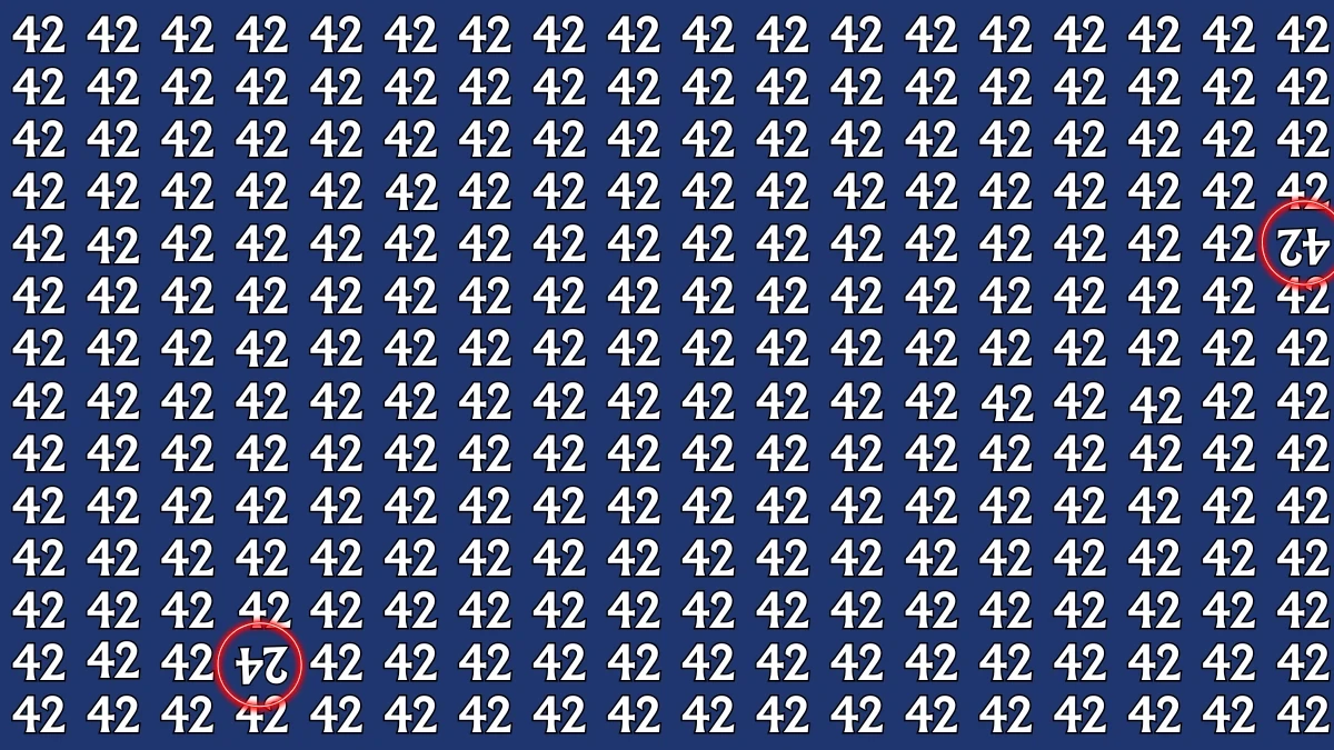 Optical Illusion: Within 7 Seconds Spot The Inverted 42 and 24 among 42s