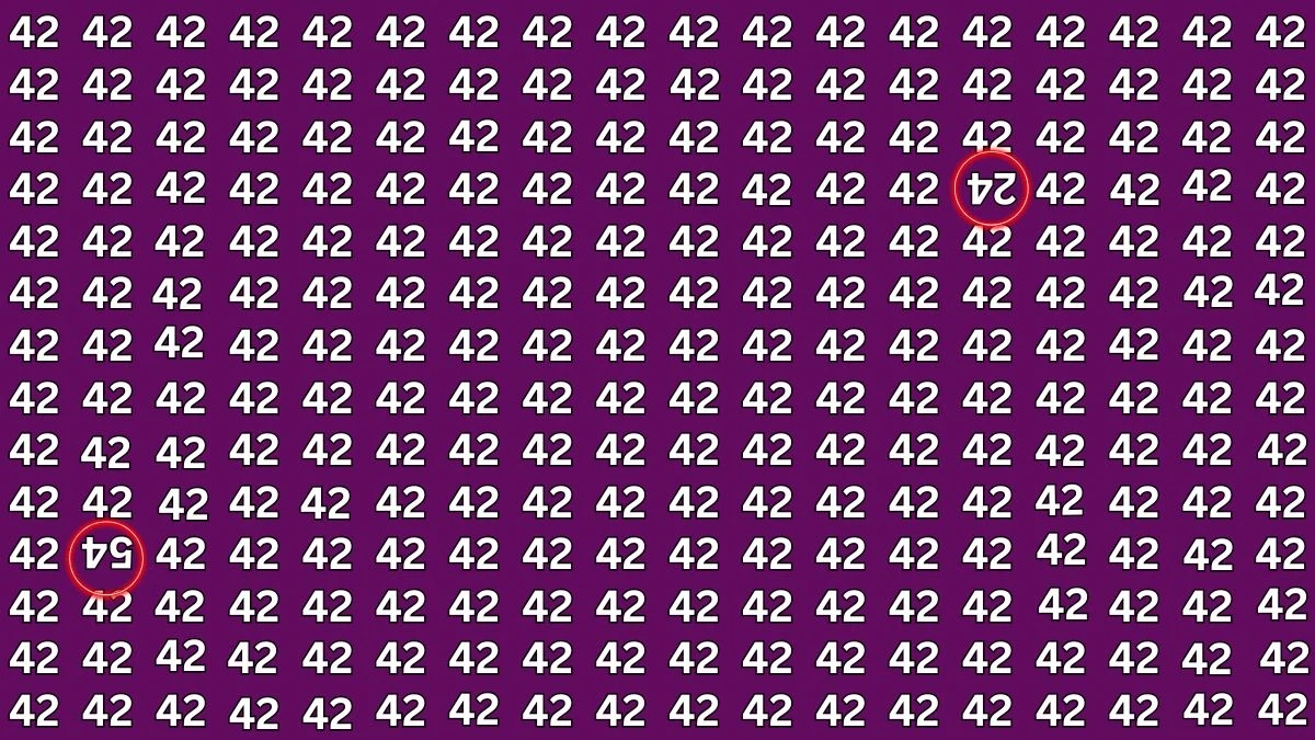 Optical Illusion: Within 8 Seconds Spot The Inverted 24 and 54 among 42s