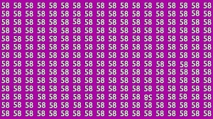 Optical Illusion: Within 8 Seconds Spot The Inverted 85 and 58 among 58s
