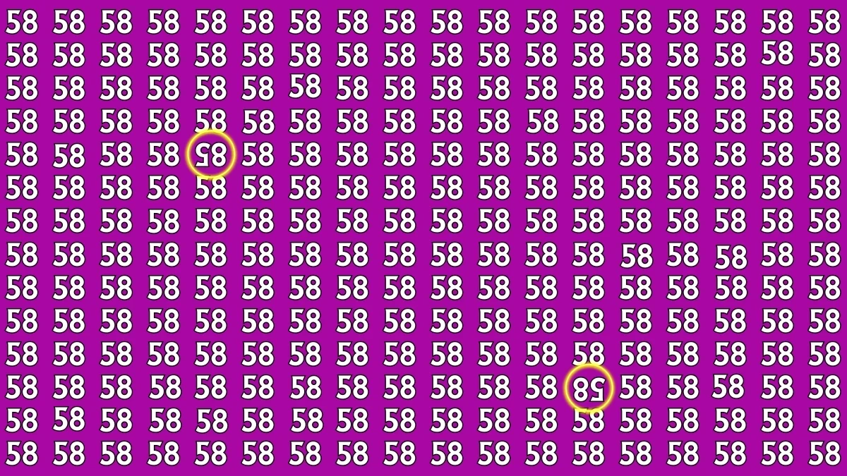 Optical Illusion: Within 8 Seconds Spot The Inverted 85 and 58 among 58s