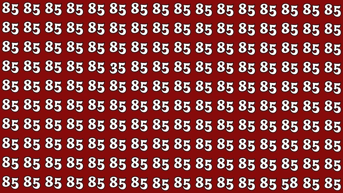 Optical Illusion: Within 8 Seconds Spot The Number 58 and 35 among 85s Optical Illusion: Within 8 Seconds Spot The Number 58 and 35 among 85s