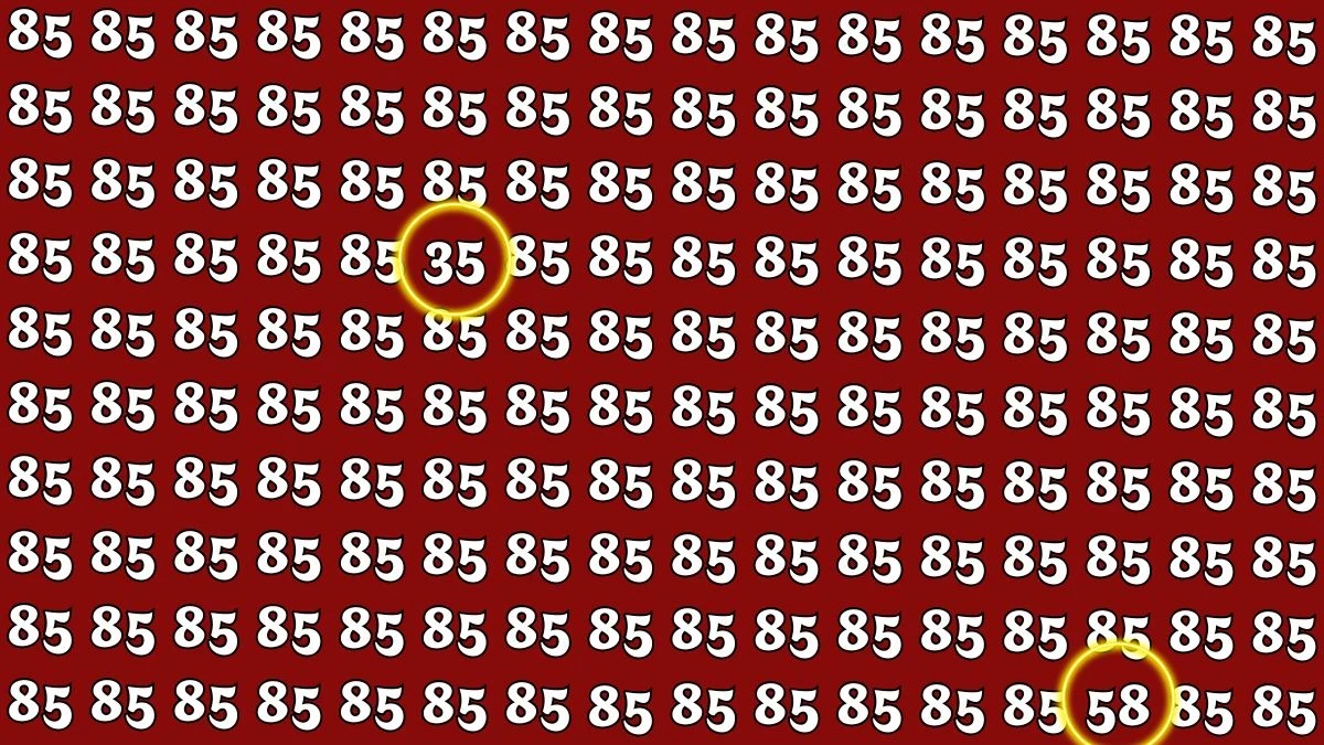 Optical Illusion: Within 8 Seconds Spot The Number 58 and 35 among 85s Optical Illusion: Within 8 Seconds Spot The Number 58 and 35 among 85s