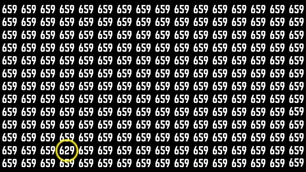 Optical Illusion 7 Seconds Challenge: Only People with Eagle Eyes Can spot the Number 629s