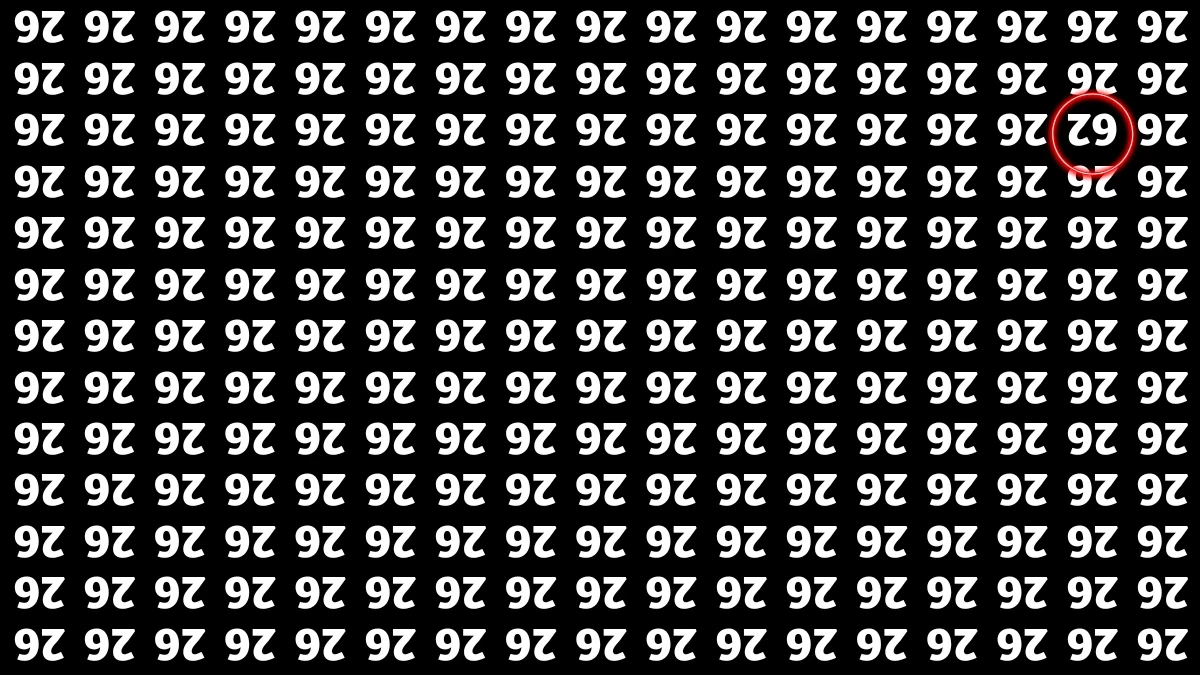 Optical Illusion IQ Test: Are You A Genius? Within 6 Seconds Spot The Inverted 62 among Inverted 26s
