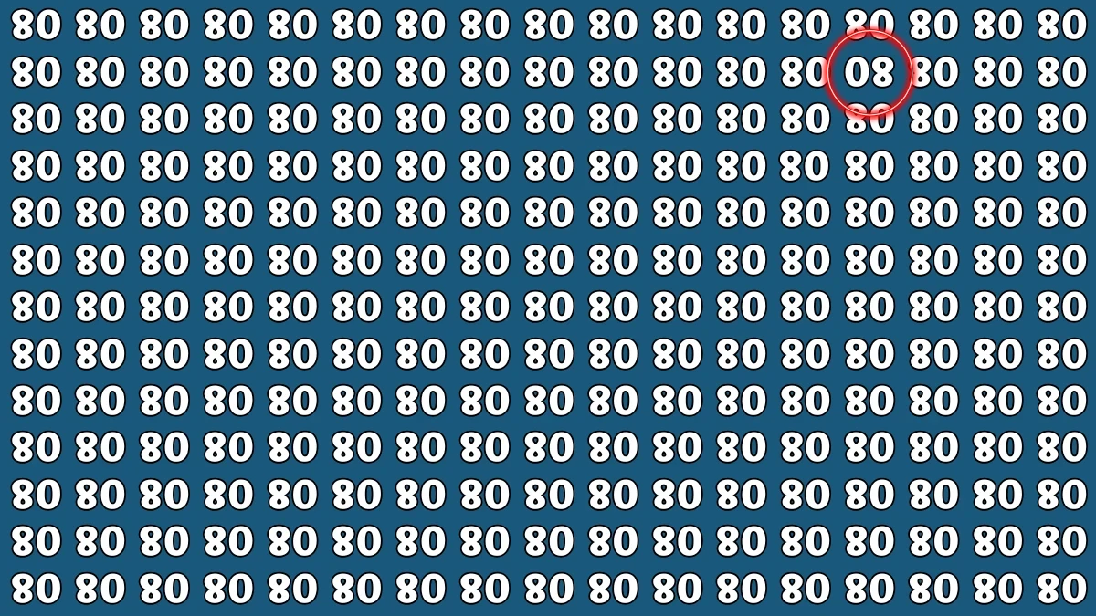 Optical Illusion IQ Test: Are You A Genius? Within 8 Seconds Spot The Inverted 80 among Inverted 08s