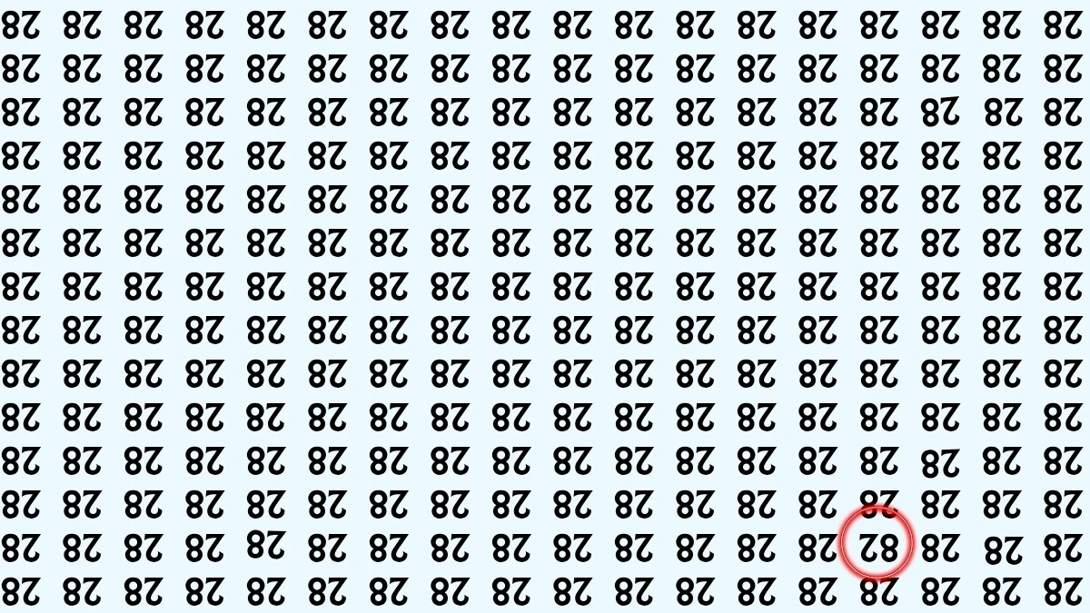 Optical Illusion IQ Test: Are You A Genius? Within 9 Seconds Spot The Inverted 82 among Inverted 28s