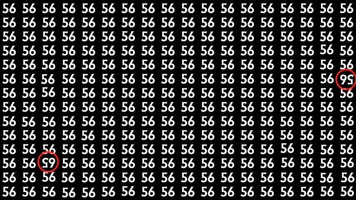 Optical Illusion: Within 5 Seconds Spot The Inverted 56 and 65 among 56s