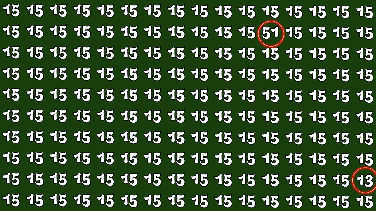 Optical Illusion: Within 5 Seconds Spot The Number 13 and 51 among 15