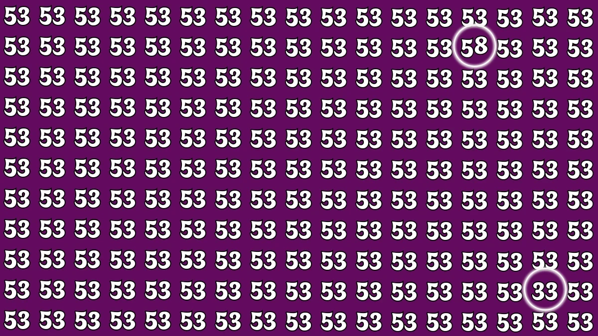 Optical Illusion: Within 5 Seconds Spot The Number 33 and 58 among 53