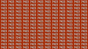 Optical Illusion: Within 5 Seconds Spot The Number 7243 among 7423