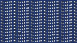 Optical Illusion: Within 6 Seconds Spot The Inverted 22 and 32 among 23s