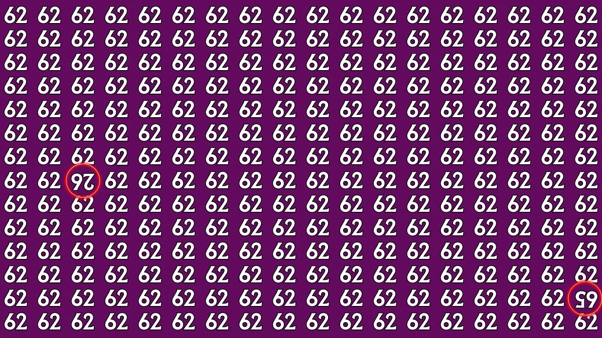 Optical Illusion: Within 6 Seconds Spot The Inverted 26 and 65 among 62s