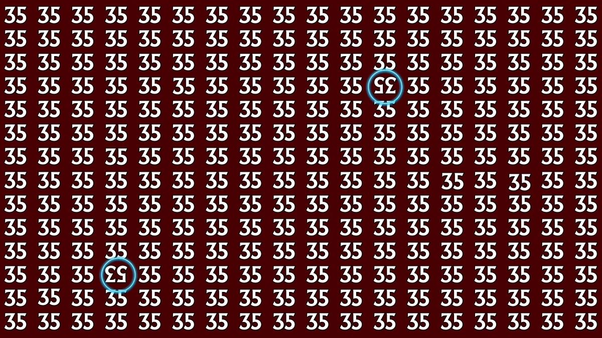 Optical Illusion: Within 6 Seconds Spot The Inverted 35 and 53 among 35s