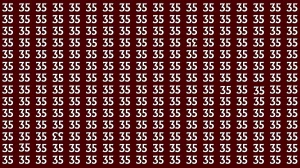 Optical Illusion: Within 6 Seconds Spot The Inverted 35 and 53 among 35s