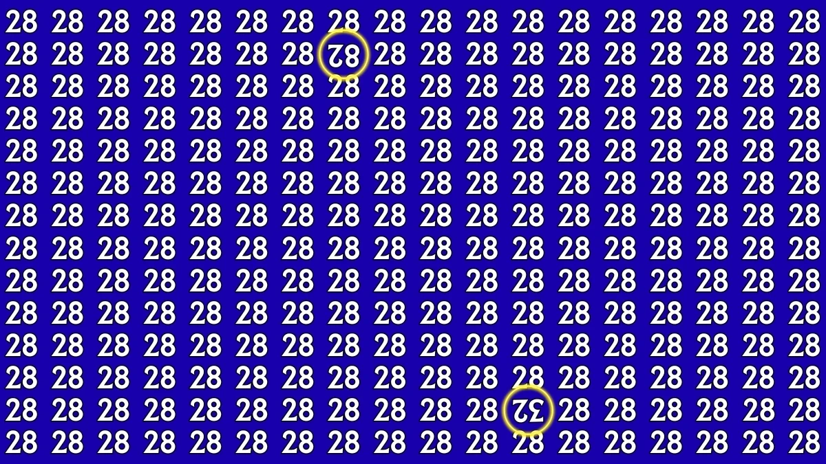 Optical Illusion: Within 8 Seconds Spot The Inverted 82 and 32 among 28s