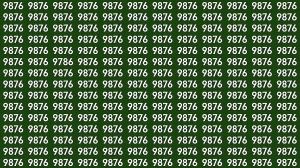 Optical Illusion: Within 8 Seconds Spot The Number 9786 among 9876
