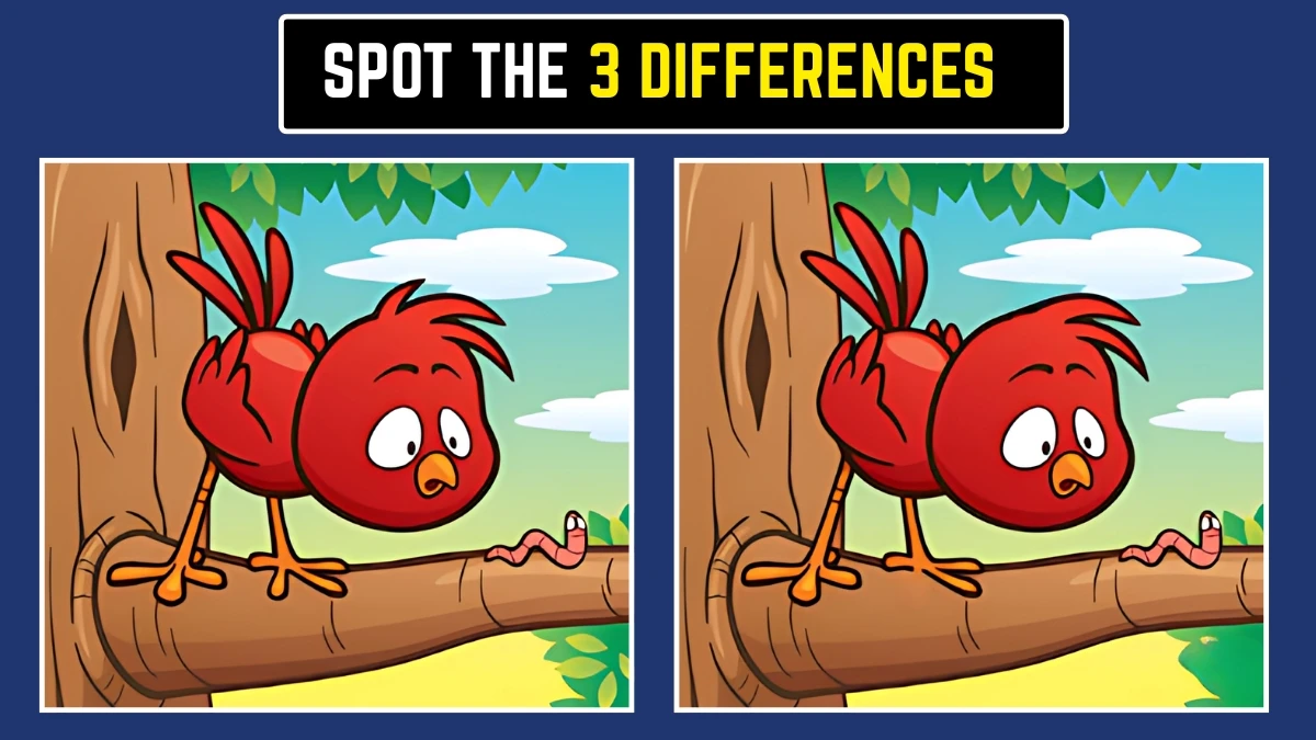 Optical Illusion: Spot 3 Hidden Differences Before Time Runs Out! Optical Illusion: Spot 3 Hidden Differences Before Time Runs Out!
