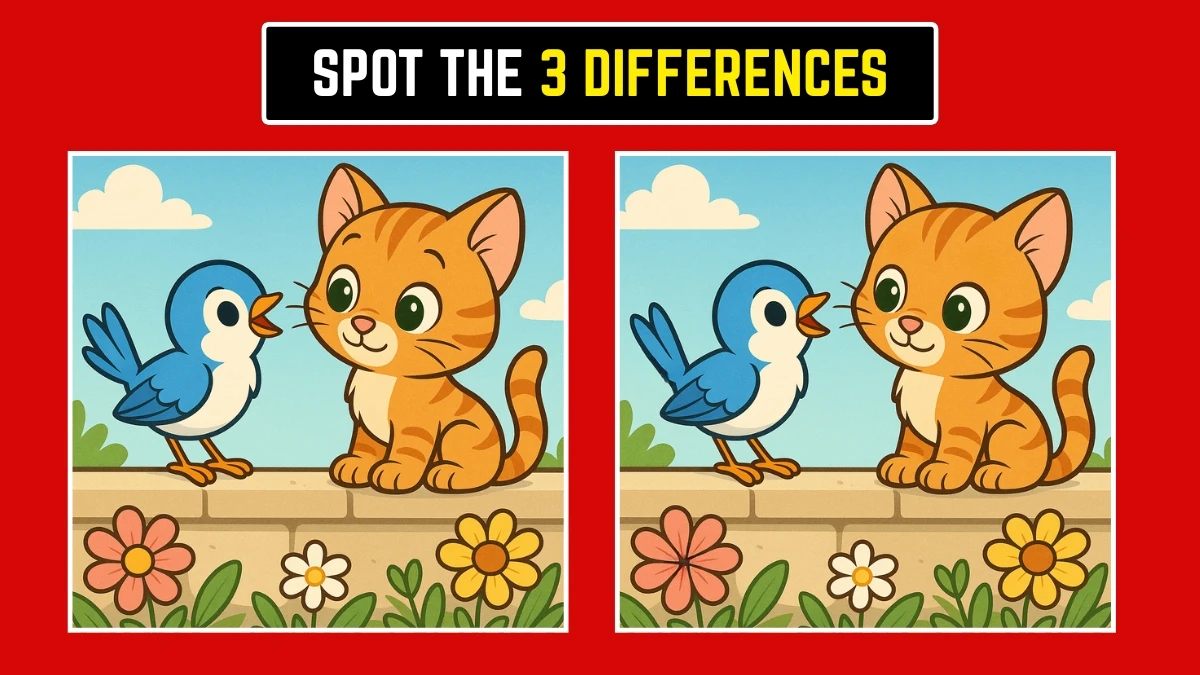 Brain Teaser: Can You Find the 3 Hidden Differences in 8 Seconds? Brain Teaser: Can You Find the 3 Hidden Differences in 8 Seconds?