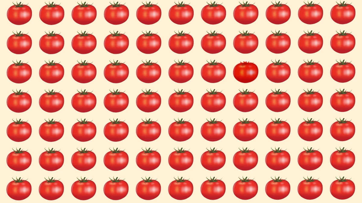 Brain Teaser: Can You Find the Different Tomato Fast?