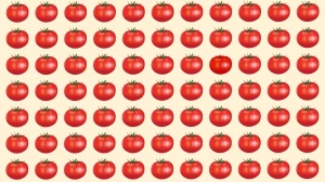 Brain Teaser: Can You Find the Different Tomato Fast?