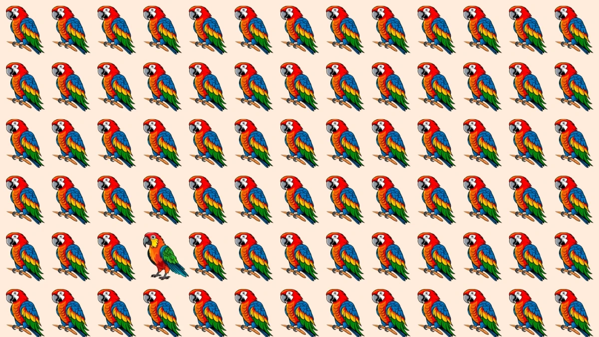 Brain Teaser: Can You Find the Odd Bird in Just 6 Seconds?