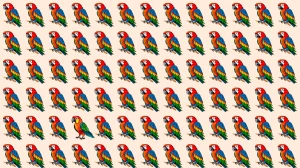Brain Teaser: Can You Find the Odd Bird in Just 6 Seconds?