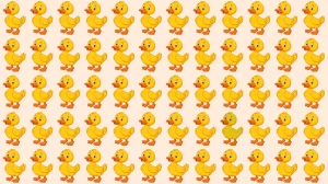 Brain Teaser: Can You Find the Odd Duck in 6 Seconds?