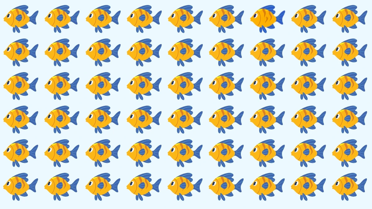 Brain Teaser: Can You Find the Odd Fish Out in 6 Seconds?