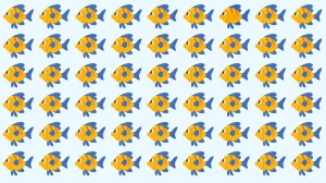 Brain Teaser: Can You Find the Odd Fish Out in 6 Seconds?