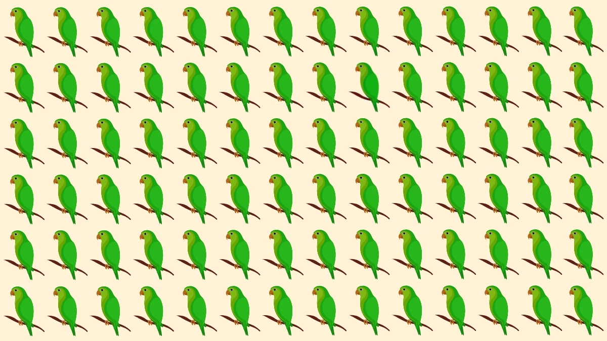 Brain Teaser: Can You Identify the Odd Parrot in 5 Seconds?