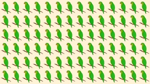 Brain Teaser: Can You Identify the Odd Parrot in 5 Seconds?