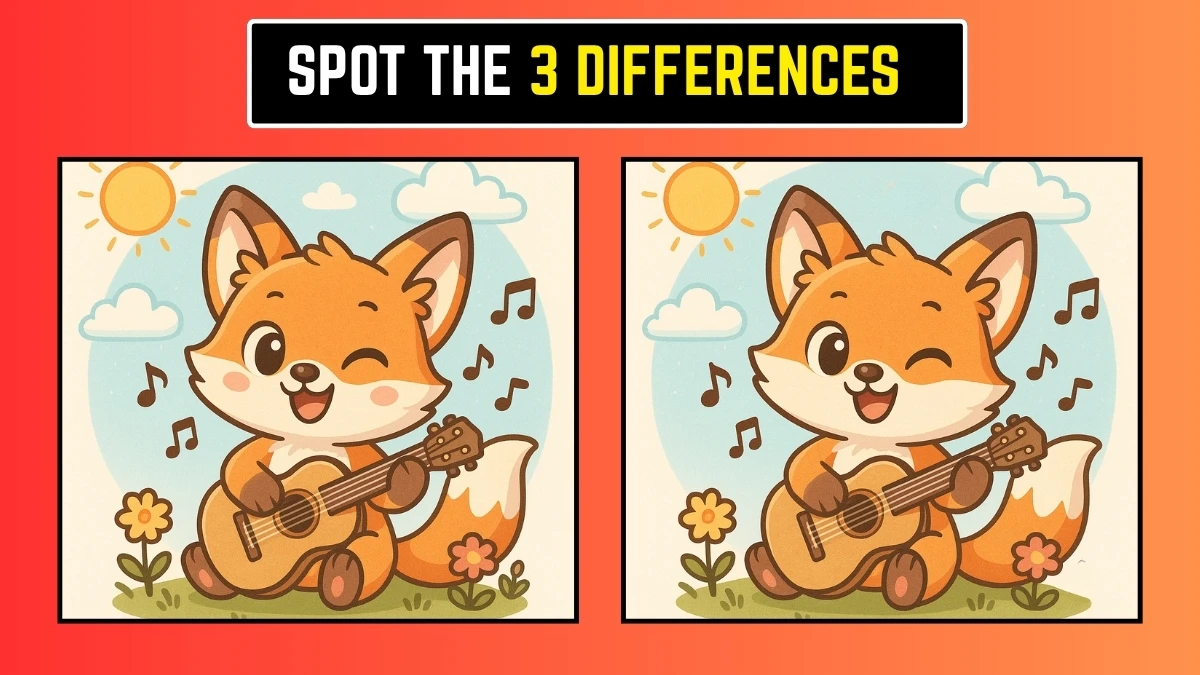 Brain Teaser: Can You Spot the 3 Differences Fast?