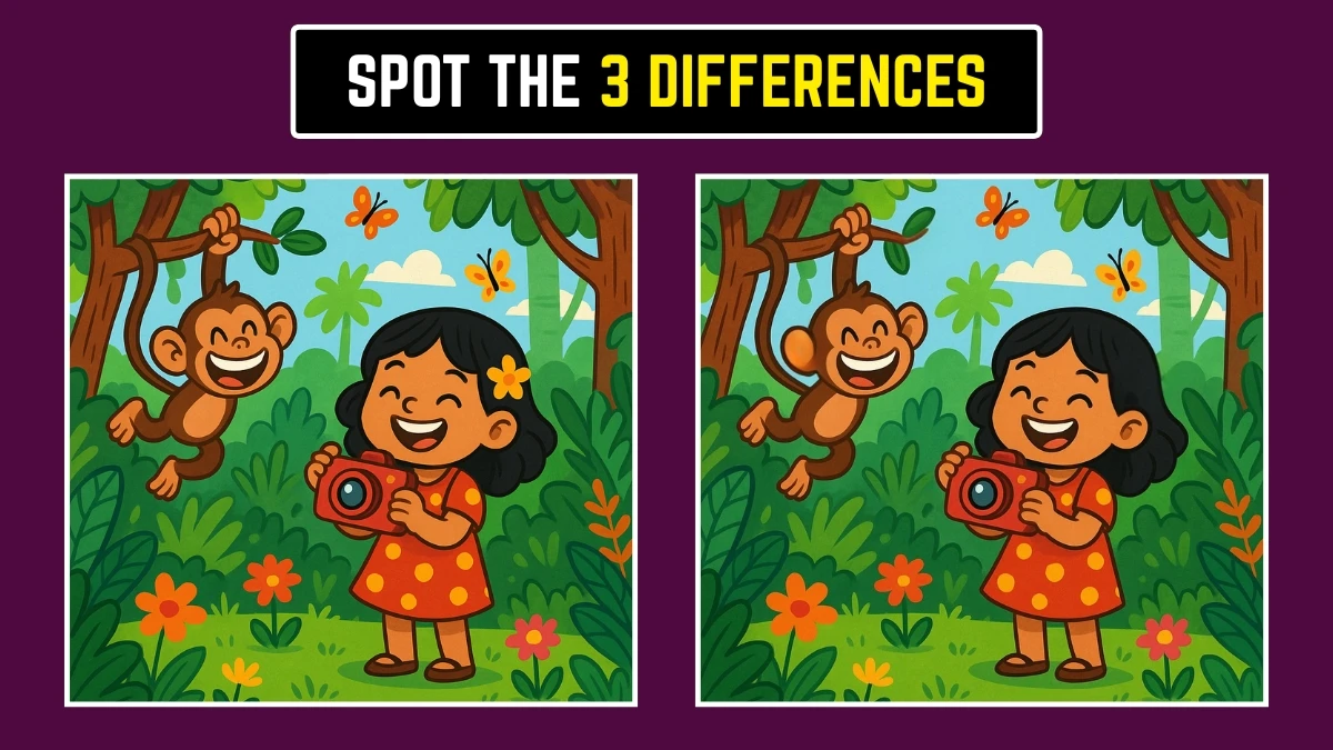 Brain Teaser: Find the 3 Hidden Differences in 7 Seconds