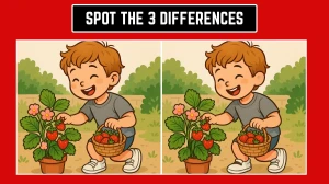 Brain Teaser: How Fast Can You Identify 3 Differences in 8 Seconds?