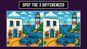 Brain Teaser: How Quickly Can You Spot the 3 Differences in 7 Seconds?