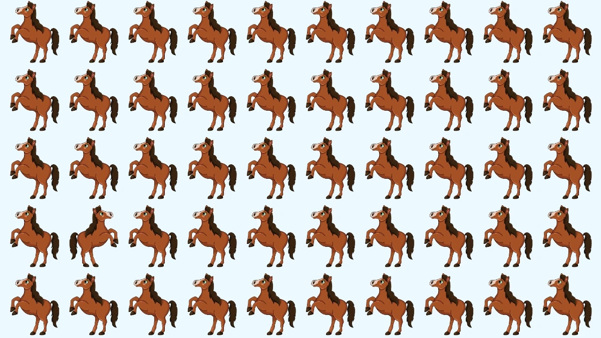 Brain Teaser: Only 1 in 10 People Spot the Odd Horse in 6 Seconds!