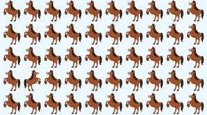 Brain Teaser: Only 1 in 10 People Spot the Odd Horse in 6 Seconds!