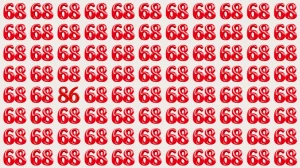 Optical Illusion: Can You Find the Number 86 in 6 Seconds?